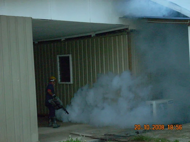 Mosquito Fogging