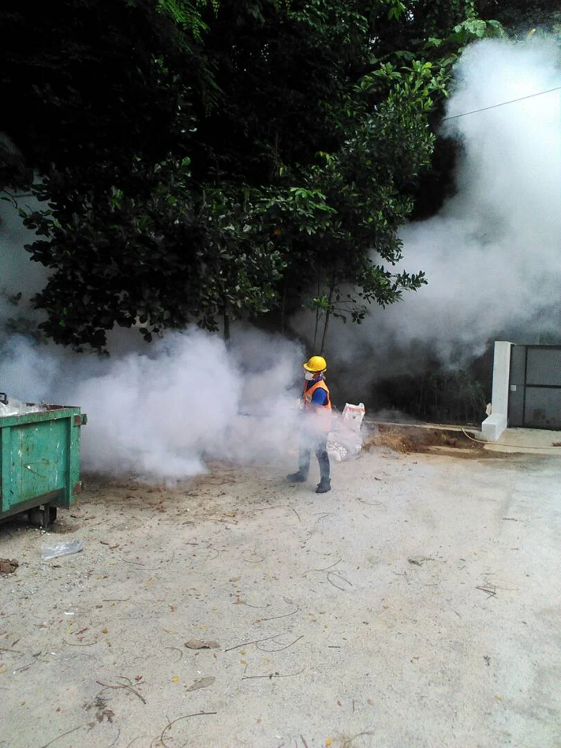 Mosquito Fogging