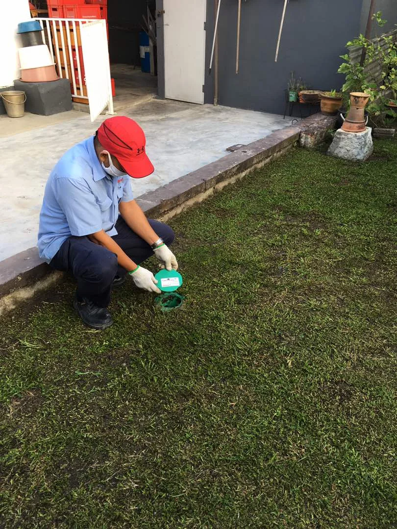 Termite Baiting